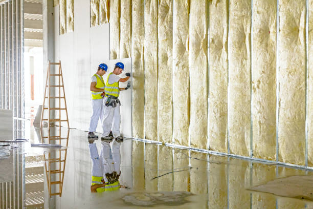 Best Insulation for Specific Applications in Pleasureville, PA